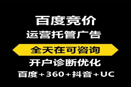 百度优化推广案例：打造高转化率网站